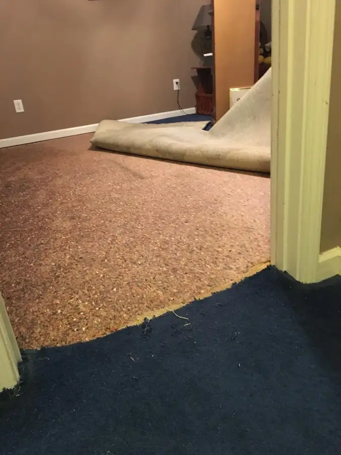 Carpet pad removal revealing water damage during Water Mitigation Services in Norwood
