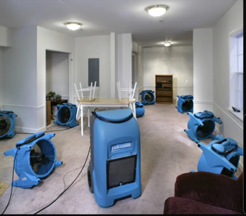 Air movers and dehumidifier setup for Water Extraction & Removal in Norwood