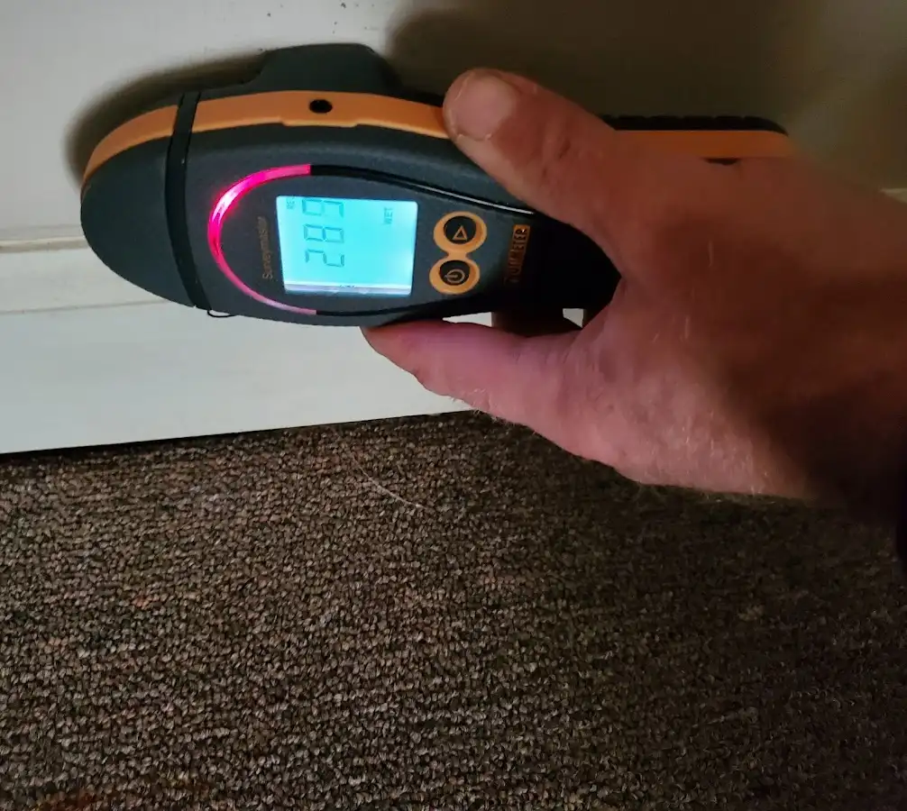 Moisture detection at baseboard during Sewage Cleanup & Sanitation in Norwood
